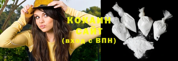 индика Вязники