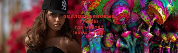 apvp Вязьма