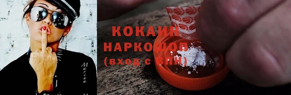 индика Вязники