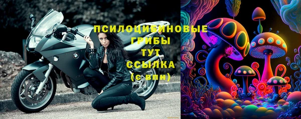 Альфа ПВП Дмитриев