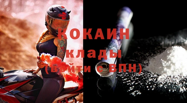 индика Вязники