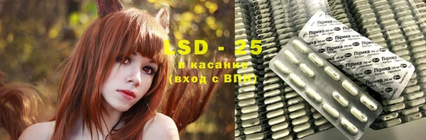 индика Вязники