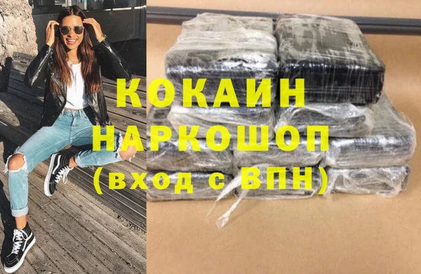 индика Вязники