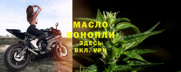 индика Вязники