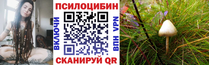 mega ONION  Ленск  Галлюциногенные грибы мицелий 