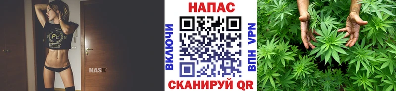Шишки марихуана план  дарнет шоп  Ленск 